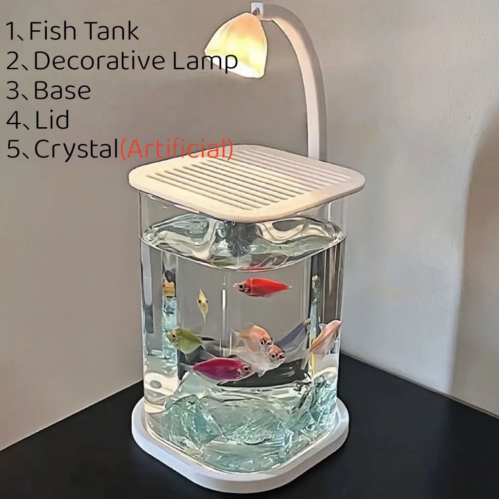Aquarium Fish Low Maintenance - Petit aquarium LED sans cadre avec