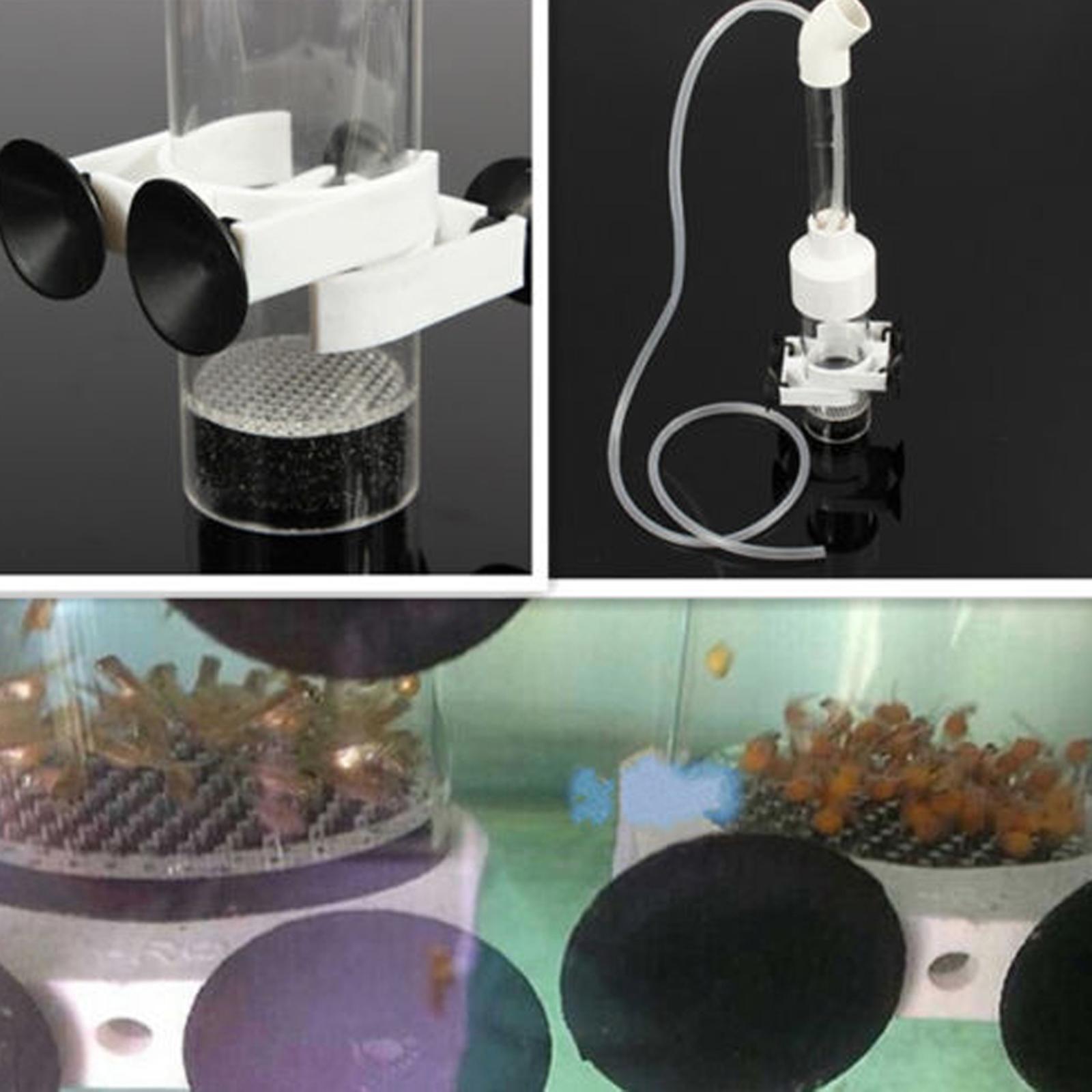Aquarium Fish Eggs - Incubateur à œufs en acrylique pour
