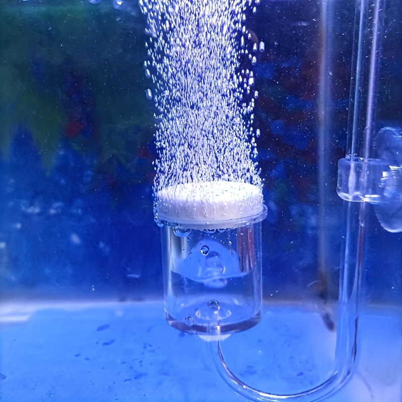 Aquarium Fish And Supplies - Diffuseur d'atomiseur de CO2 en verre