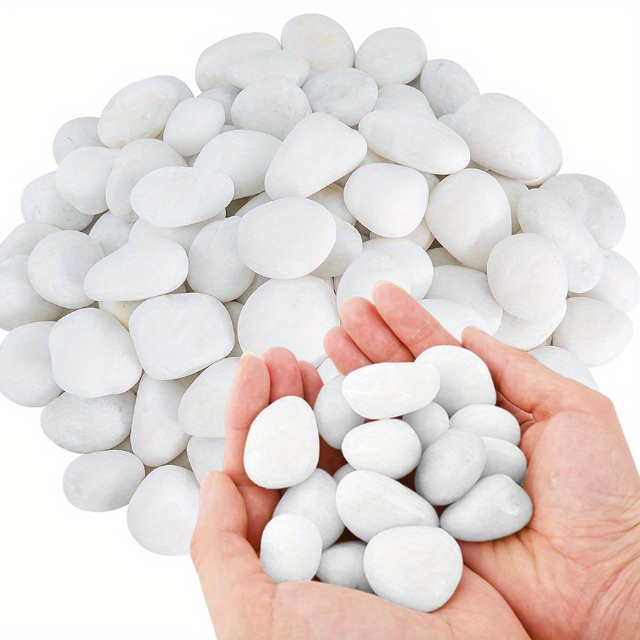 Aquarium Fish Gallery - Cerfsets naturels blancs hautement polis, 200/400g,