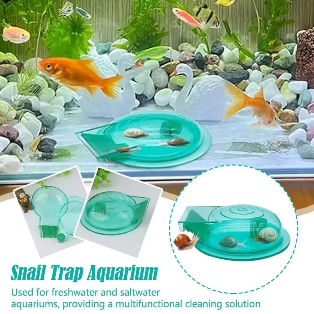 Aquarium Fish Trap - Piège à escargots pour aquarium d'eau
