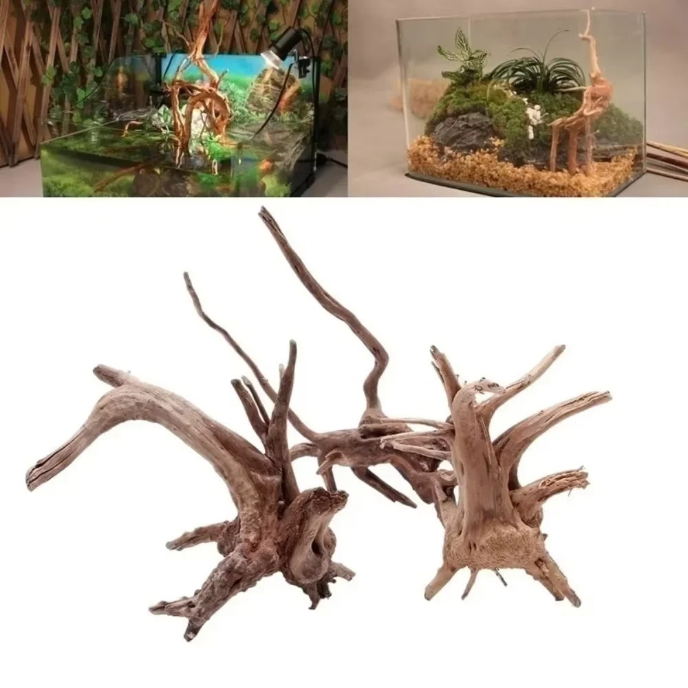 Aquarium Fish Gallery - Décoration d'aquarium en bois flotté naturel