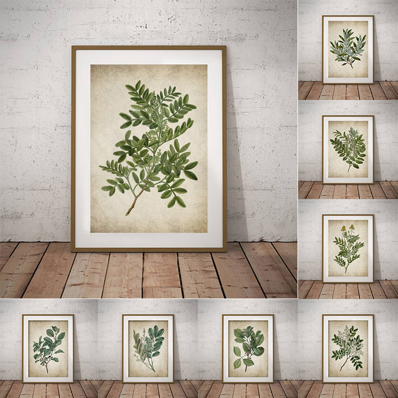 Live Plant Fertilizer - Affiche botanique vintage du cuir chevelu
