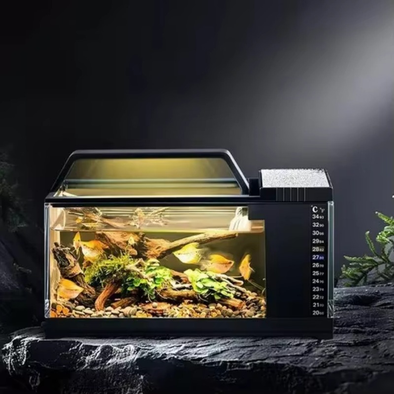 Aquarium Fish Low Maintenance - Aquarium de style sud-américain – Petit