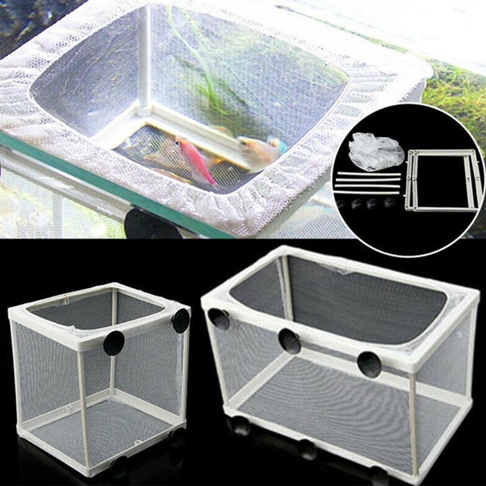 Aquarium Fish Trap - Boîte d'isolation d'éclosion pour Aquarium, élevage