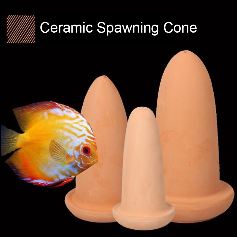 Aquarium Fish Hide - Cône de race d'abricot en céramique,