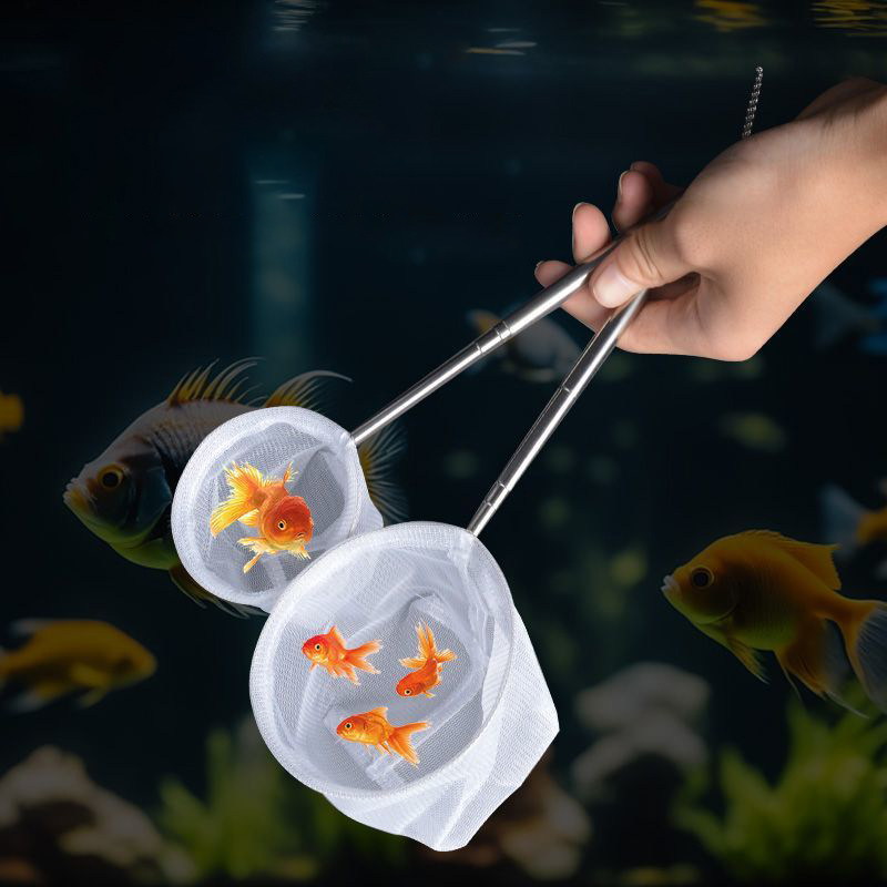 (BF06) Filet de pêche pour poi - Aquarium Fish Trap avis et prix