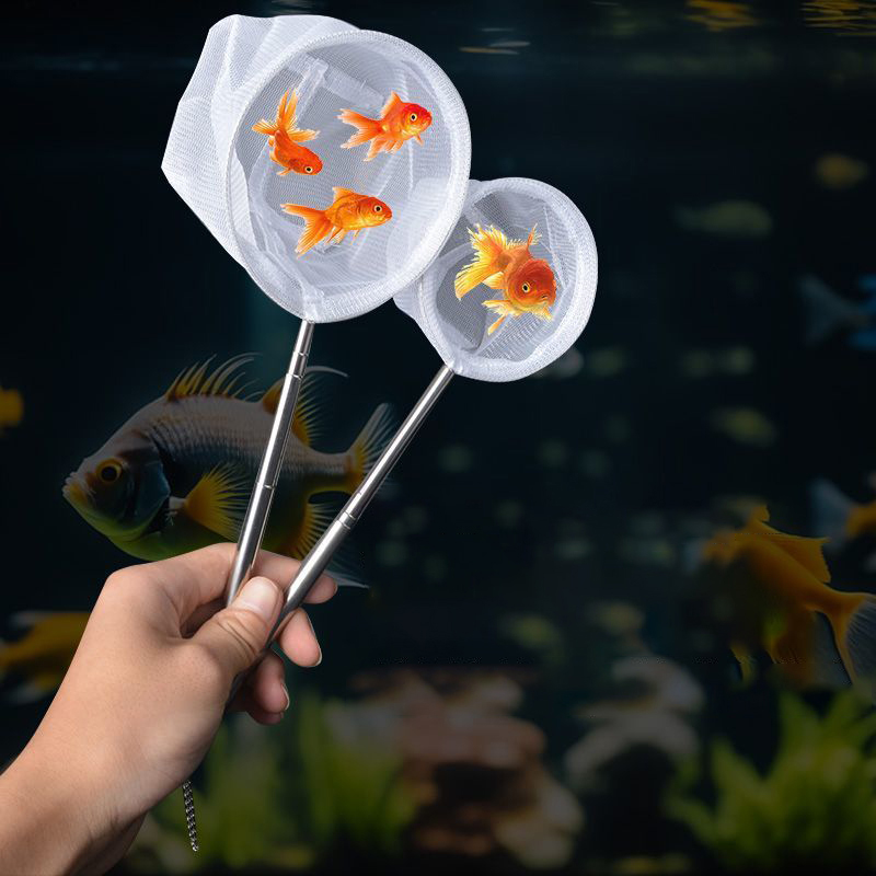 (BF06) Filet de pêche pour poi - Aquarium Fish Trap avis et prix