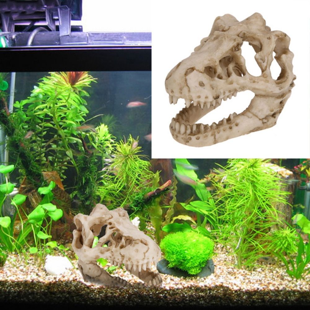 Simulation créative de crâne d - Aquarium Fish Hide avis et prix