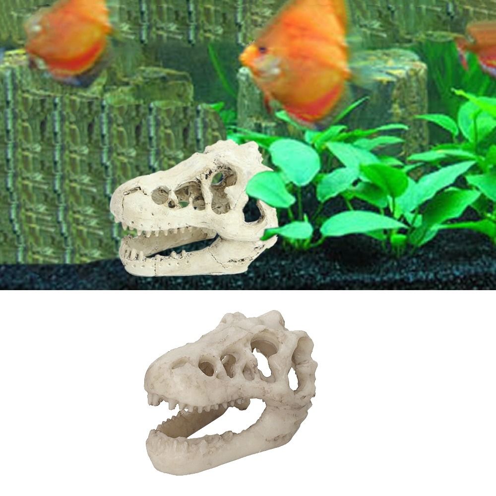 Simulation créative de crâne d - Aquarium Fish Hide avis et prix