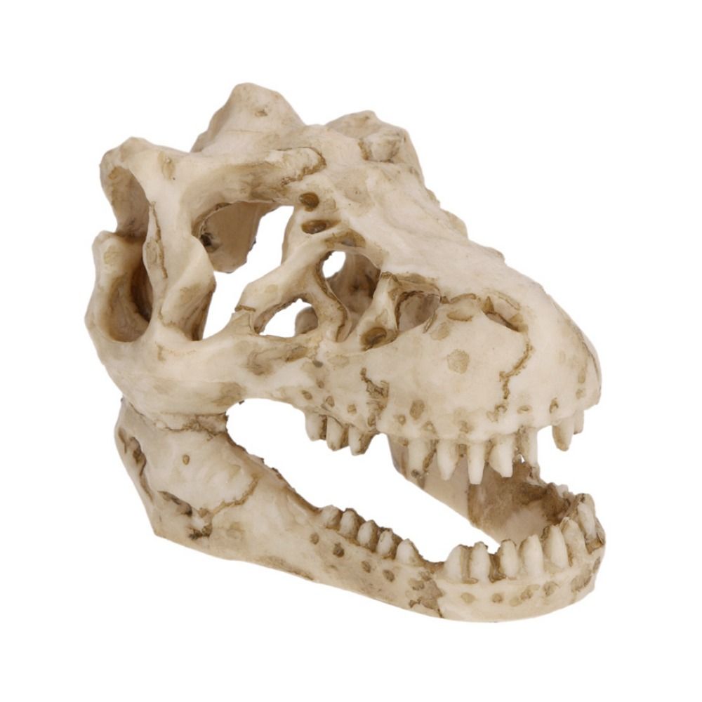Simulation créative de crâne d - Aquarium Fish Hide avis et prix