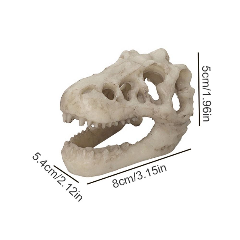 Simulation créative de crâne d - Aquarium Fish Hide avis et prix