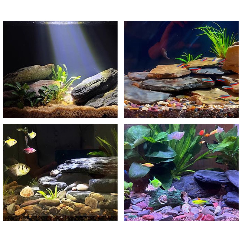 Kit de pierres paysagères pour - Aquarium Fish Gallery avis et prix