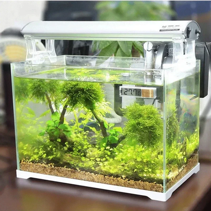 Thermomètre d'aquarium électro - Aquarium Fish Uk avis et prix