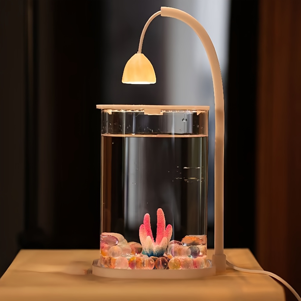 Petit aquarium LED sans cadre  - Aquarium Fish Low Maintenance avis et prix