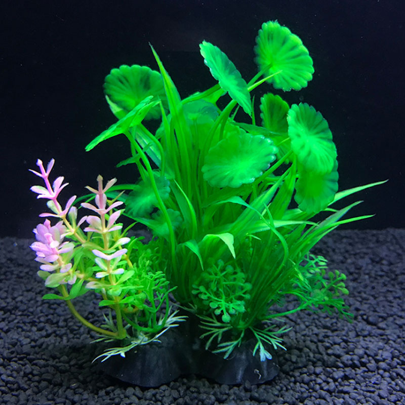 Décoration d'aquarium de plant - Aquarium Fish Variety avis et prix