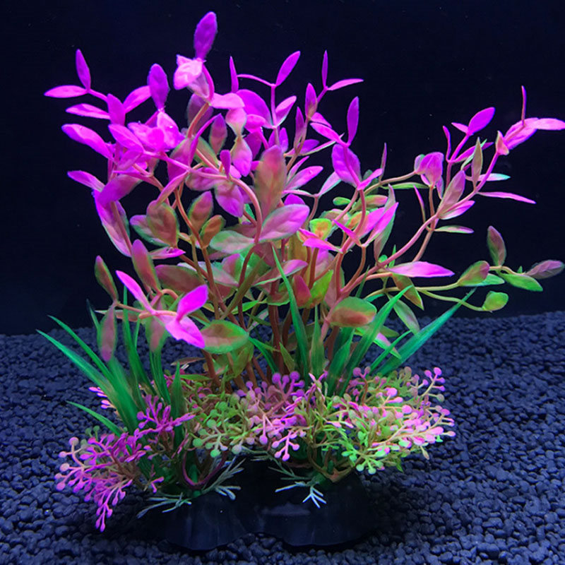 Décoration d'aquarium de plant - Aquarium Fish Variety avis et prix