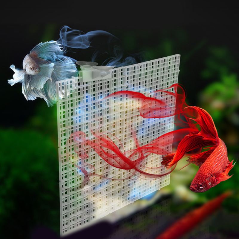 Plaque de Synchronisation de G - Aquarium Fish Trap avis et prix