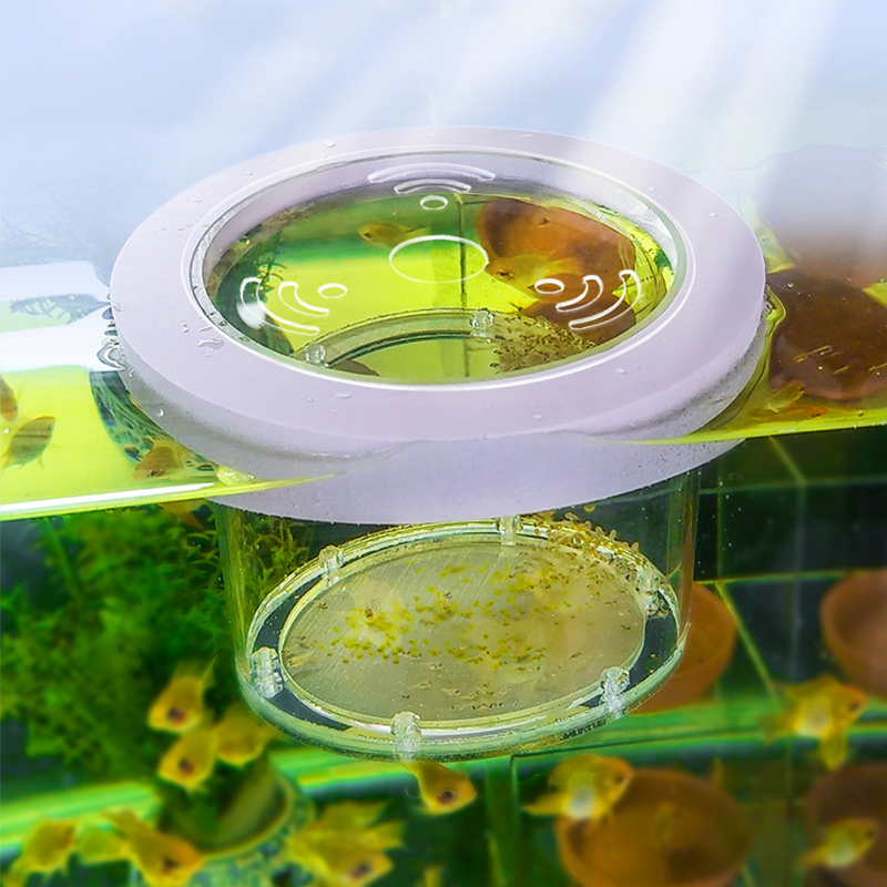 Incubateur d'Aquarium en Acryl - Aquarium Fish And Supplies avis et prix