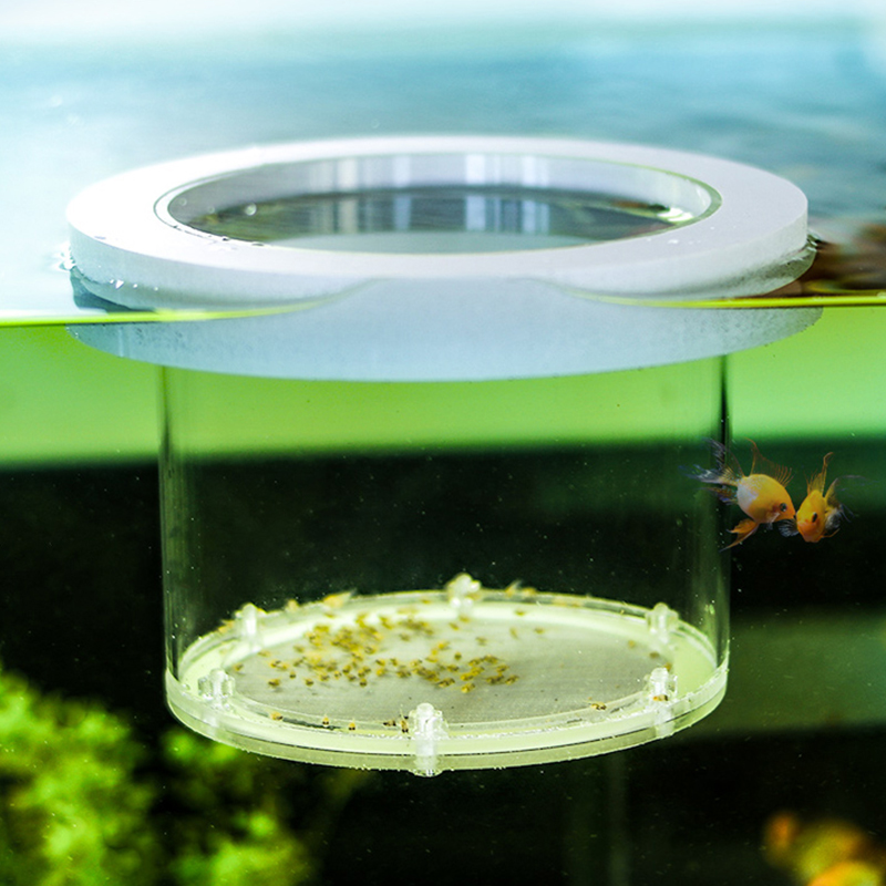 Incubateur d'Aquarium en Acryl - Aquarium Fish And Supplies avis et prix