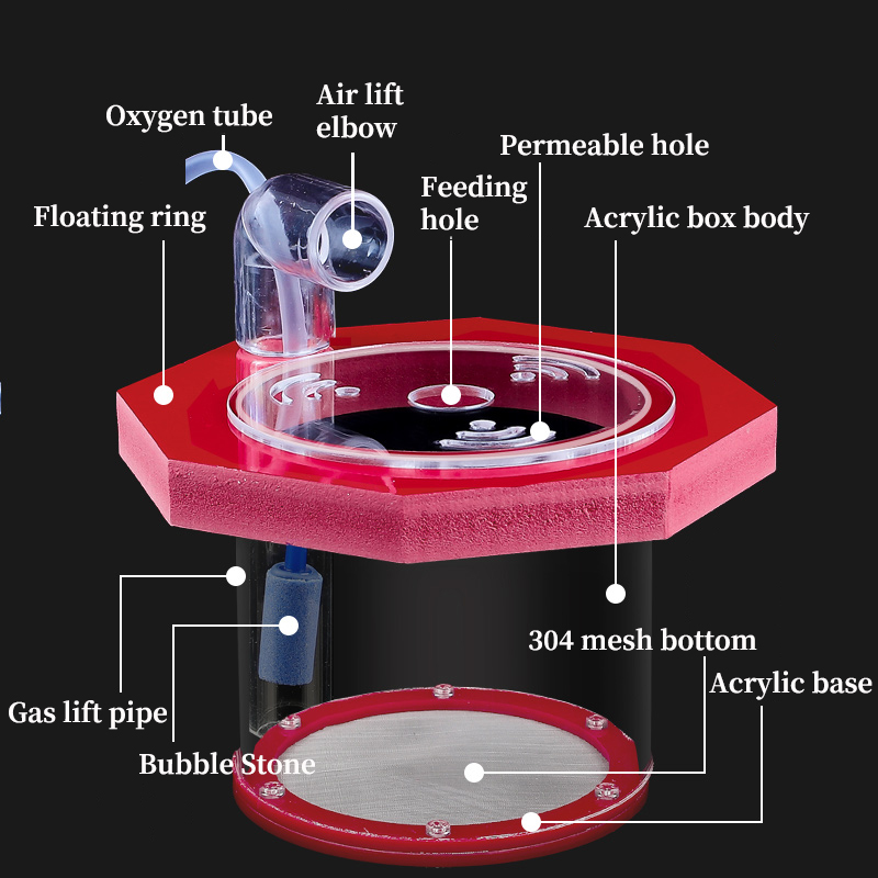 Incubateur d'Aquarium en Acryl - Aquarium Fish And Supplies avis et prix