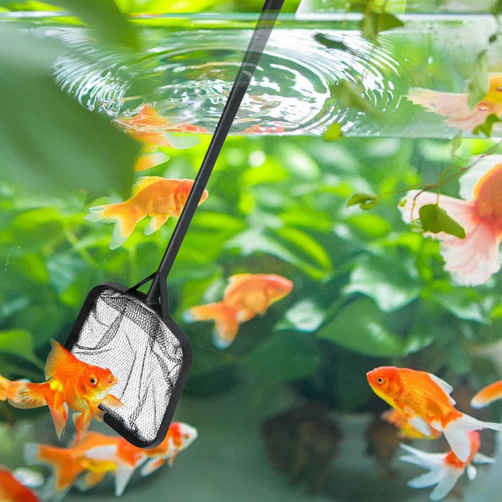 Filets de nettoyage pour pisci - Aquarium Fish Trap avis et prix