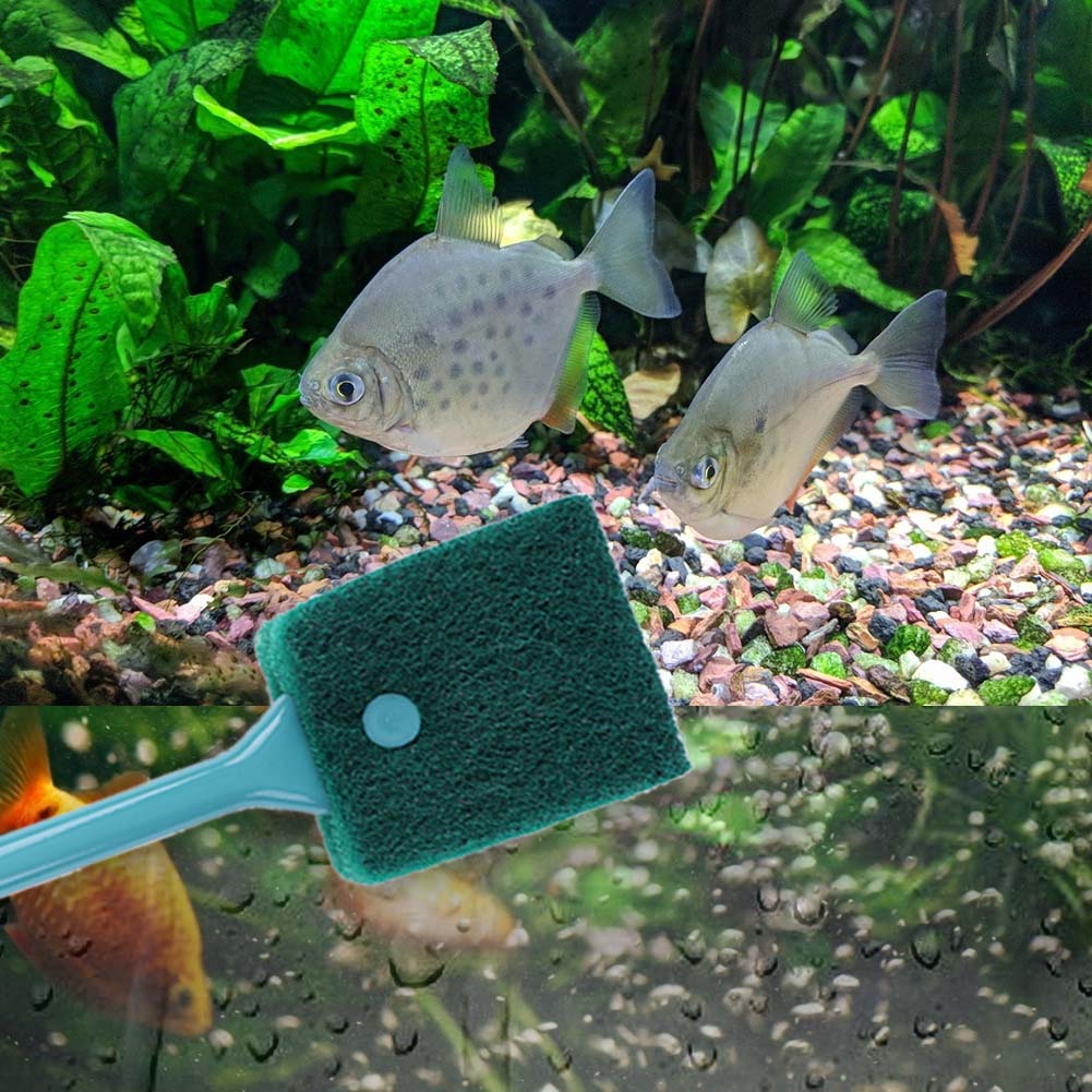 Éponge de nettoyage double fac - Aquarium Fish Tank Cleaner avis et prix
