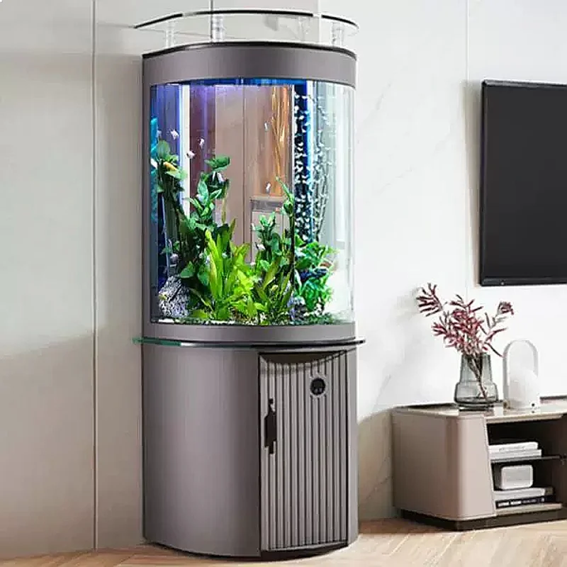 Aquarium de bureau ZL semi-cir - Aquarium Fish Low Maintenance avis et prix