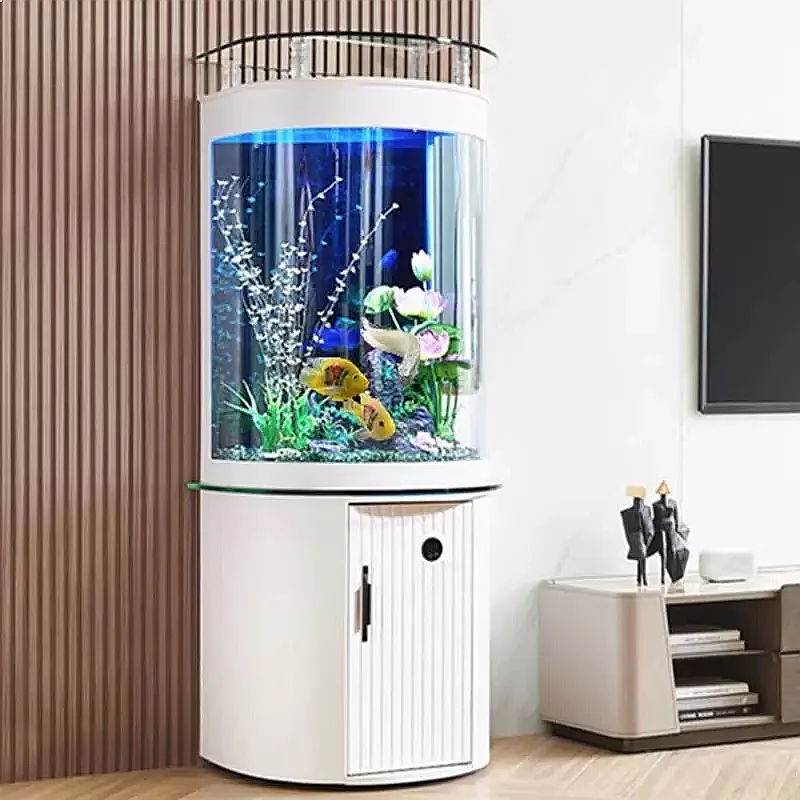 Aquarium de bureau ZL semi-cir - Aquarium Fish Low Maintenance avis et prix