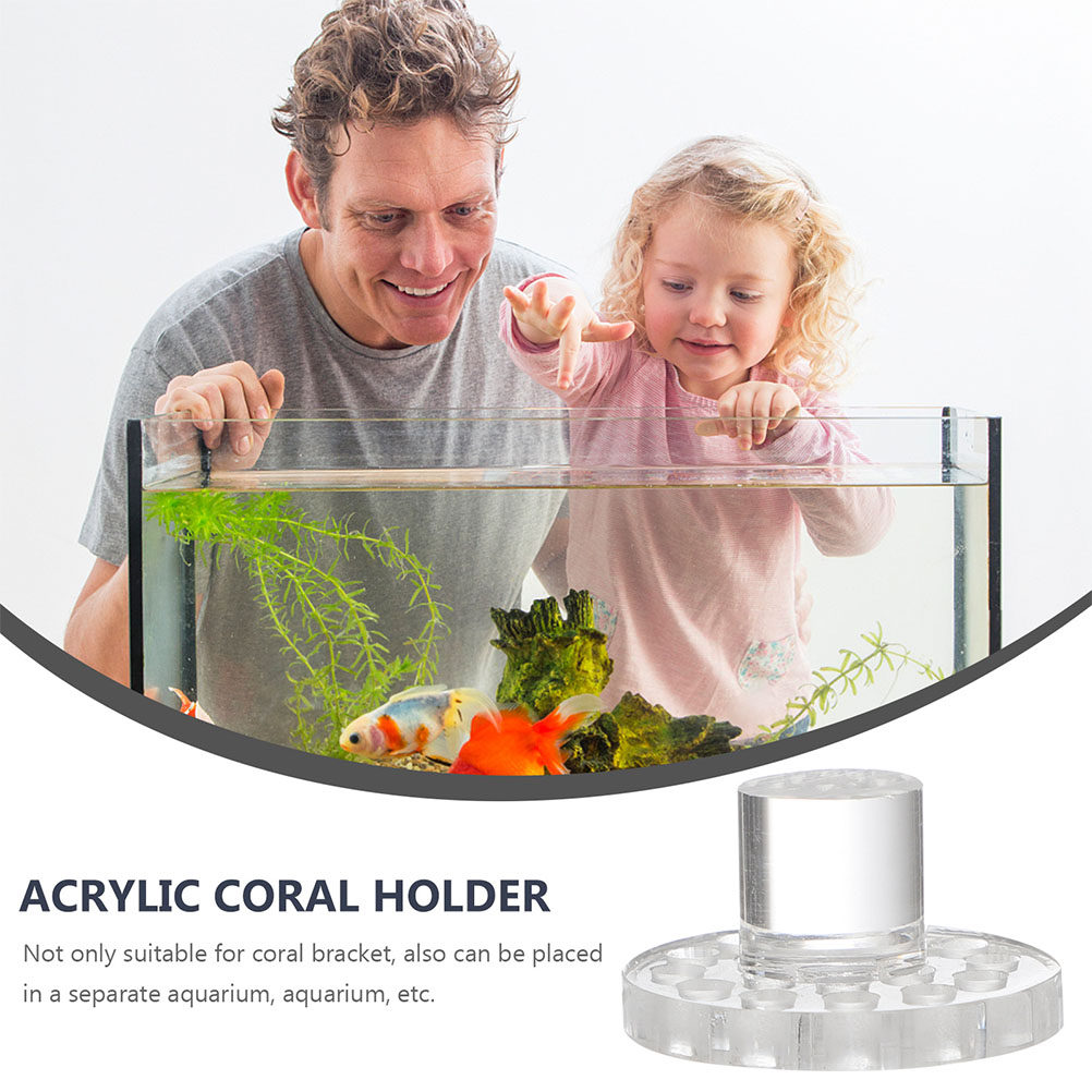 Lot de 10 supports ronds trans - Aquarium Fish And Supplies avis et prix