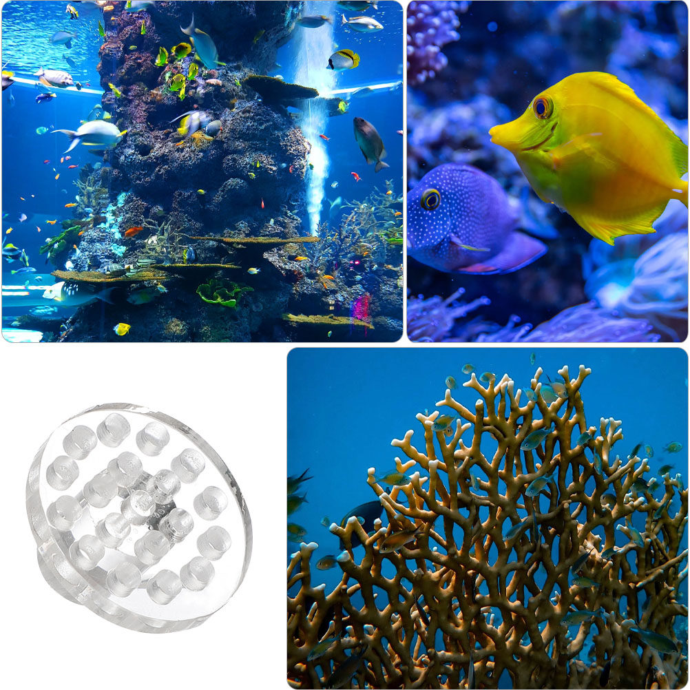 Lot de 10 supports ronds trans - Aquarium Fish And Supplies avis et prix
