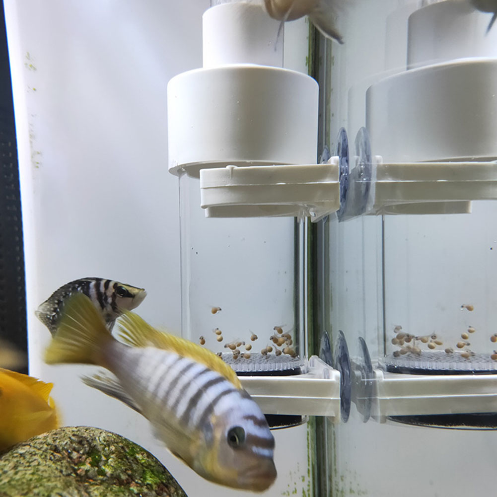 Incubateur de poisson 40mm, co - Aquarium Fish Eggs avis et prix