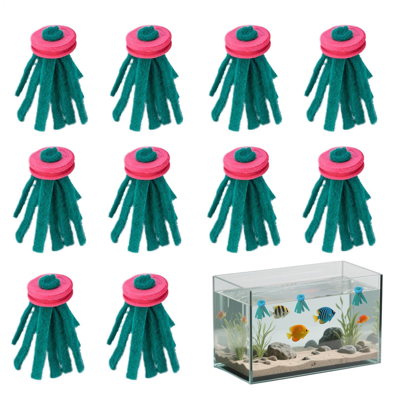 10 pièces de décoration d'aqua - Aquarium Fish Eggs avis et prix