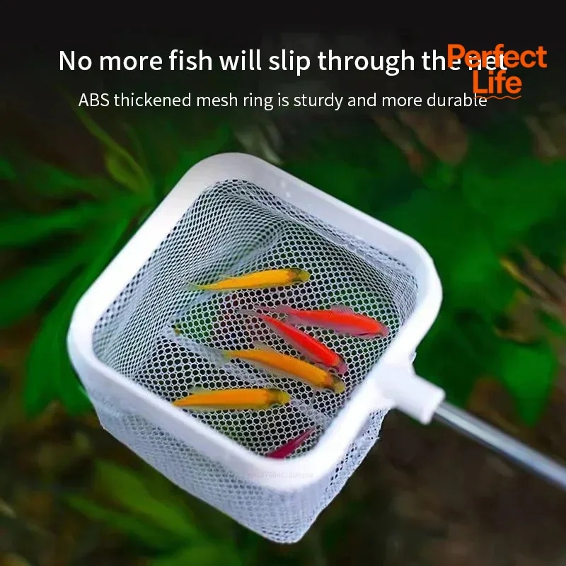 1 ou 2 pièces de filets de pêc - Aquarium Fish Trap avis et prix