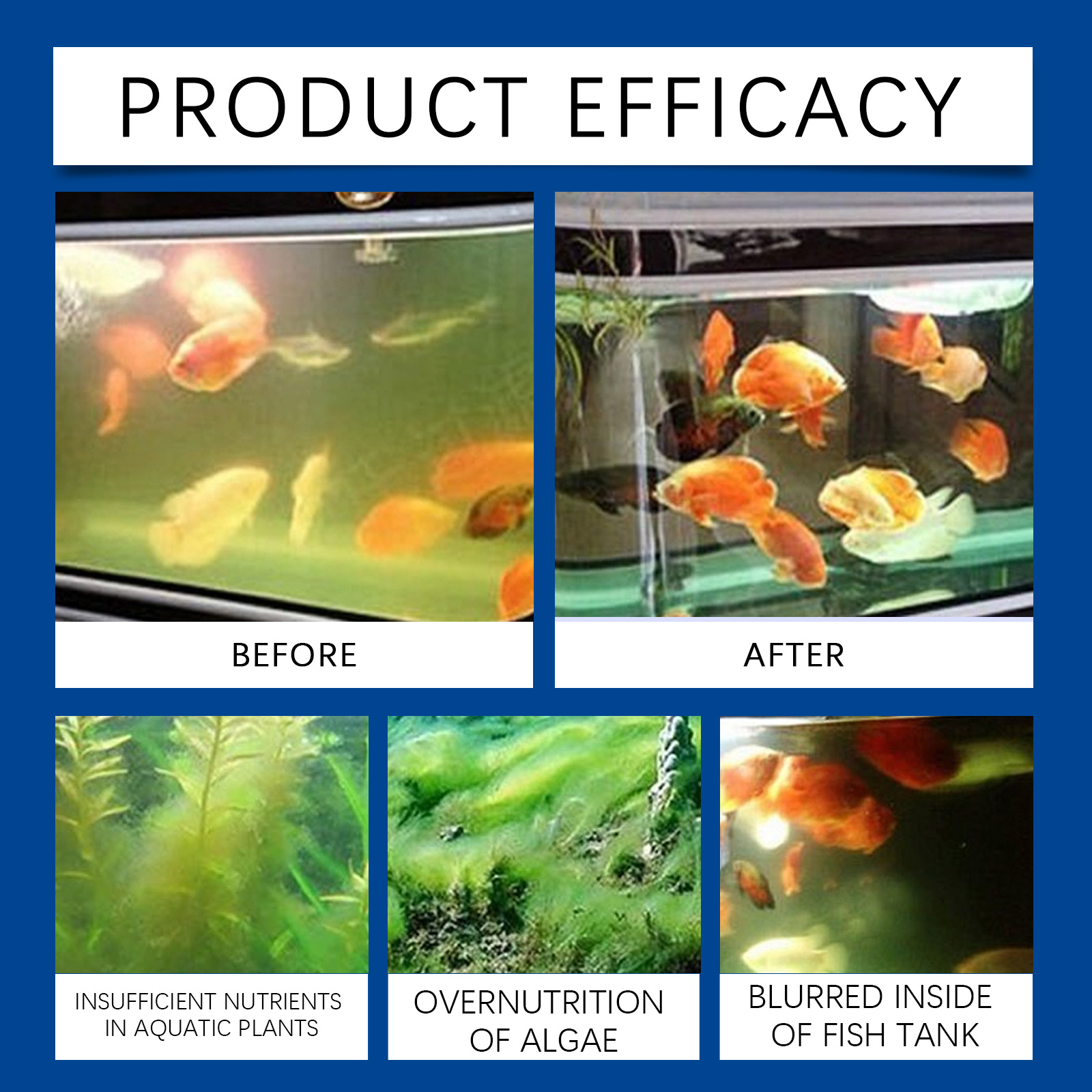 Chiarificateur d'eau d'aquariu - Aquarium Fish Tank Cleaner avis et prix