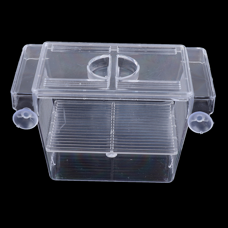 Guppy-Boîte de piège à poisson - Aquarium Fish Trap avis et prix