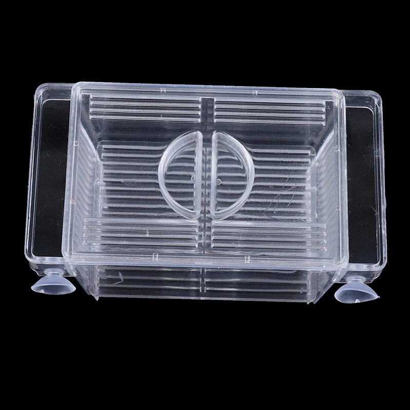 Guppy-Boîte de piège à poisson - Aquarium Fish Trap avis et prix