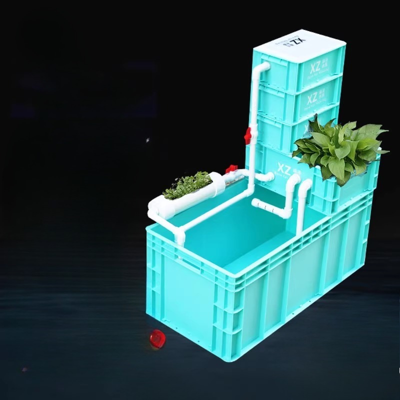 Réservoir pour tortues avec fi - Aquarium Fish Low Maintenance avis et prix