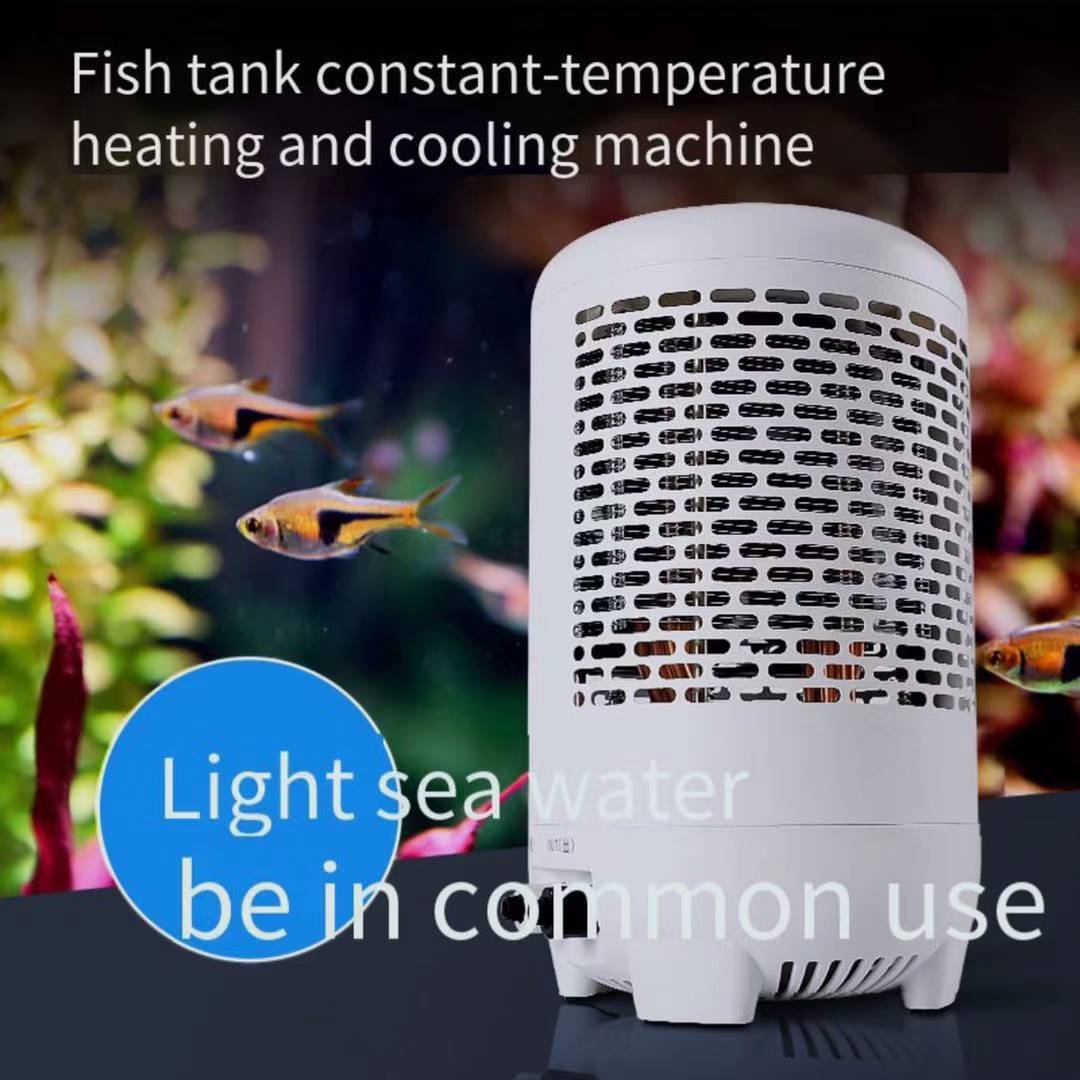Thermostat de réfrigérateur po - Aquarium Fish Uk avis et prix