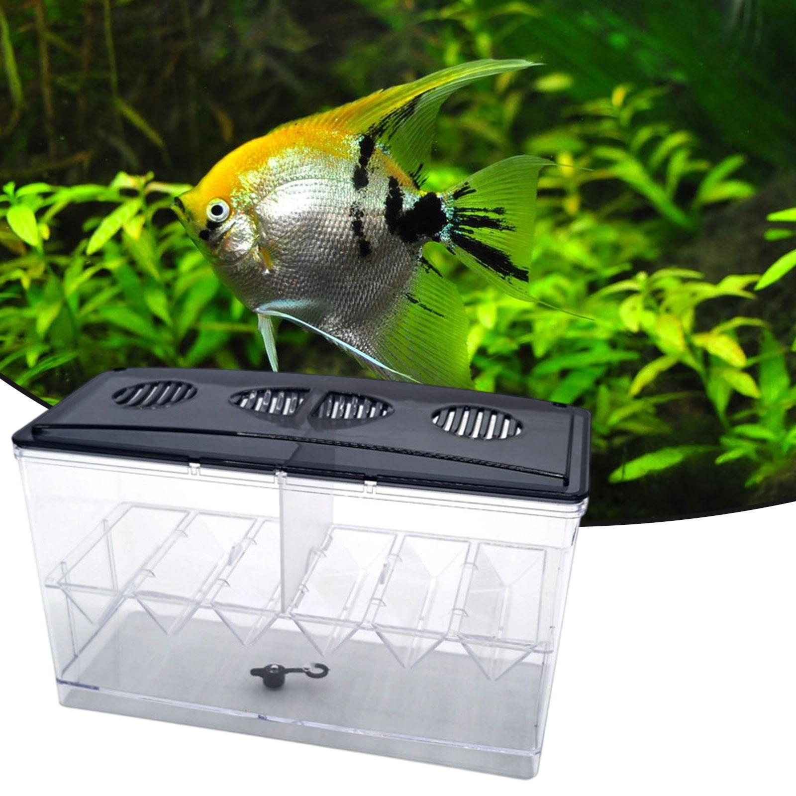 Boîte d'isolation flottante po - Aquarium Fish Tank Cleaner avis et prix