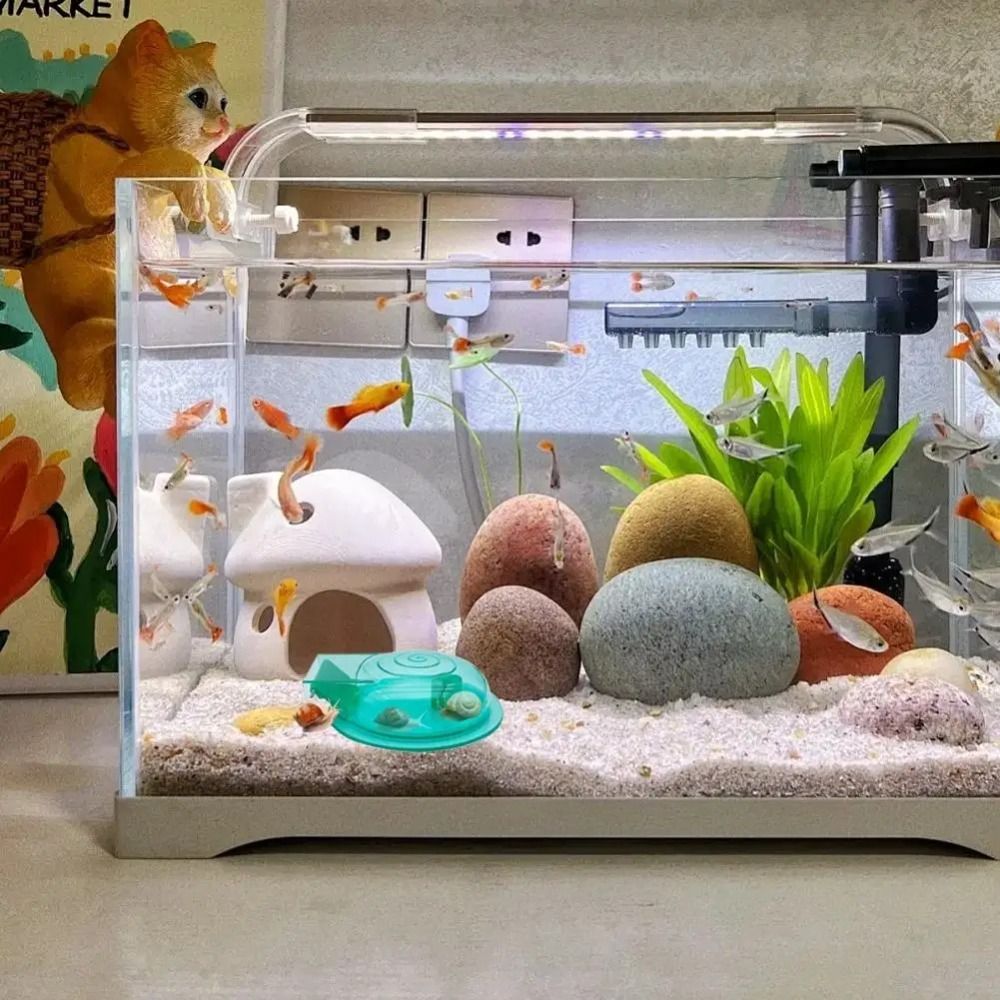 Piège à escargots pour aquariu - Aquarium Fish Trap avis et prix