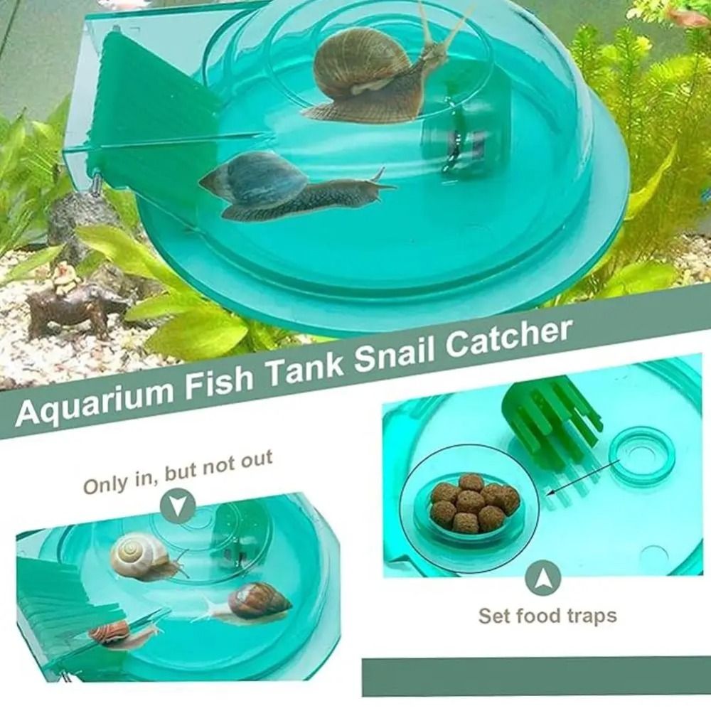 Piège à escargots pour aquariu - Aquarium Fish Trap avis et prix