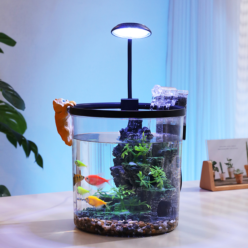 Bol à poisson rouge rond compa - Aquarium Fish Low Maintenance avis et prix