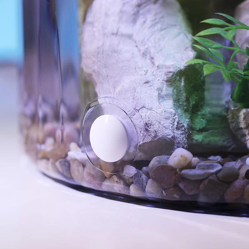 Bol à poisson rouge rond compa - Aquarium Fish Low Maintenance avis et prix