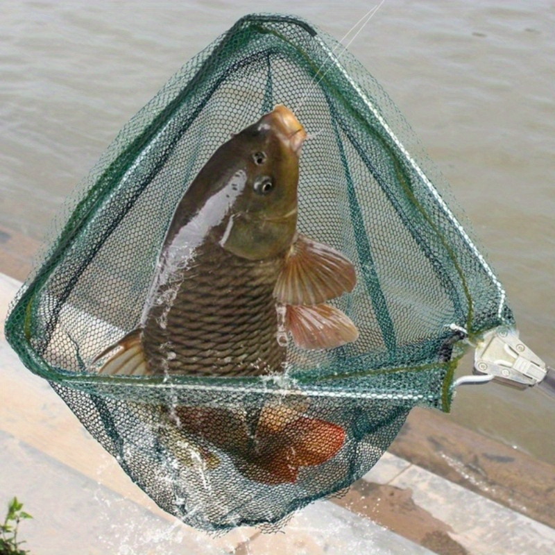 Épuisette de pêche triangulair - Fish Net Handle avis et prix