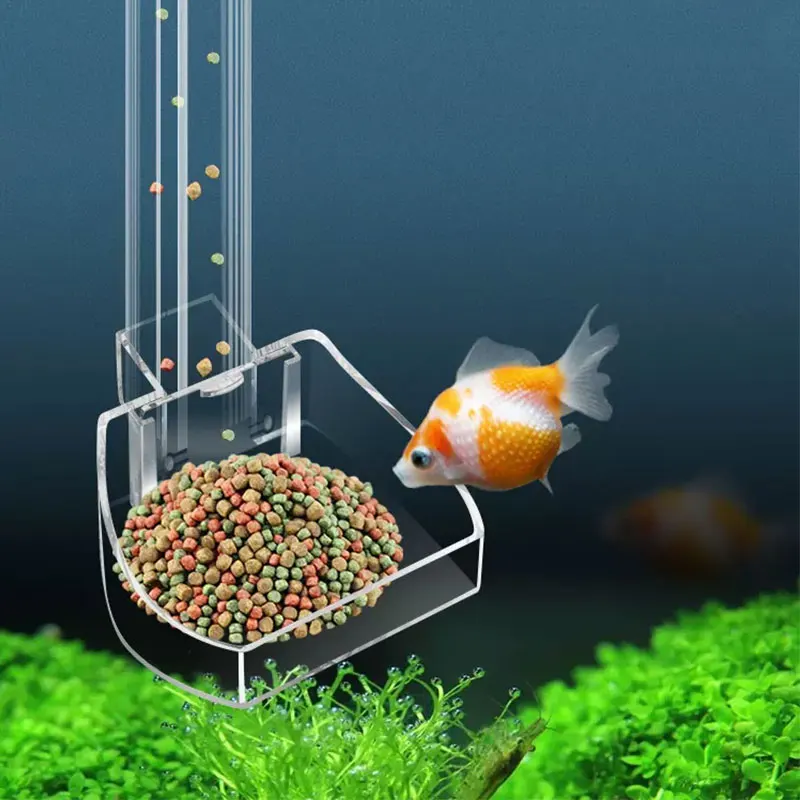 Tube d'alimentation en acryliq - Aquarium Fish Variety avis et prix