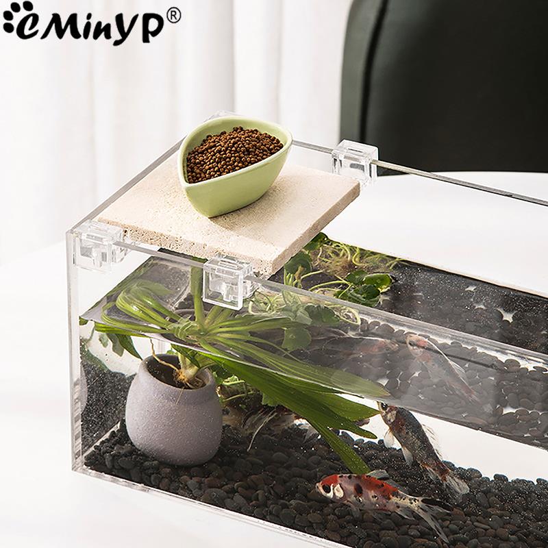 Clips acryliques pour Aquarium - Aquarium Fish And Supplies avis et prix