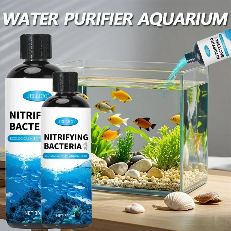 Purificateur d'eau pour Aquari - Aquarium Fish And Supplies avis et prix
