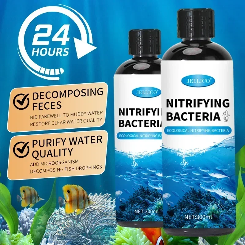 Purificateur d'eau pour Aquari - Aquarium Fish And Supplies avis et prix