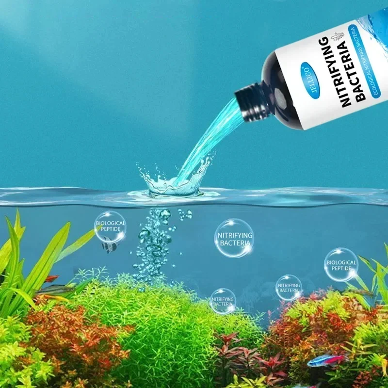 Purificateur d'eau pour Aquari - Aquarium Fish And Supplies avis et prix
